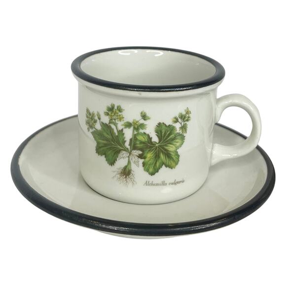 ITALIAN Set (6) Espresso Tea IPA CUPS & SAUCERS Demitasse Botanic Garden Flowers - Picture 9 of 14